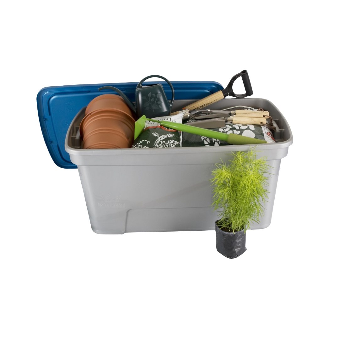CAJA -MEGAFORTE-200-2