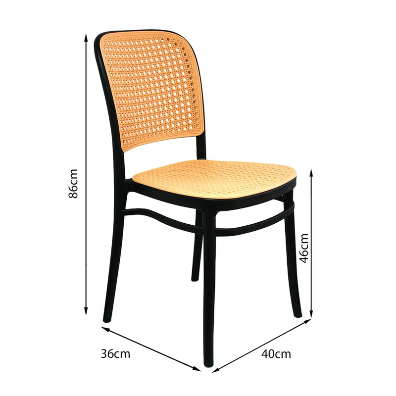 silla-amis-ng2